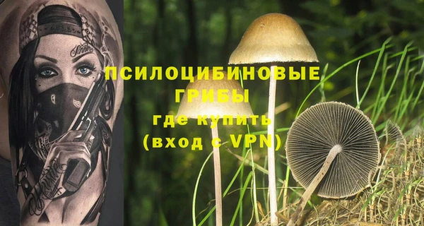 МДМА Карпинск