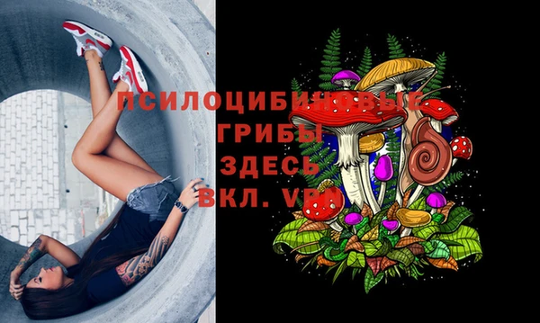 гашишное масло Касимов