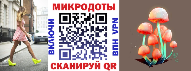 Купить где Канаш Галлюциногенные грибы Cubensis